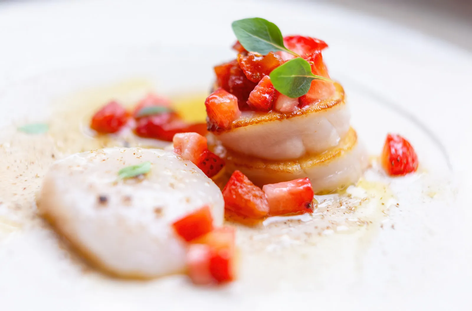 Vibrant macro close-up of the scallop course at Sat Bains, raw scallop in sauce alongside a seared scallop with bright red strawberry salsa and microgreens
